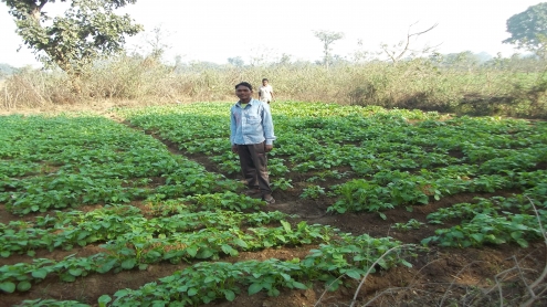 Livelihood